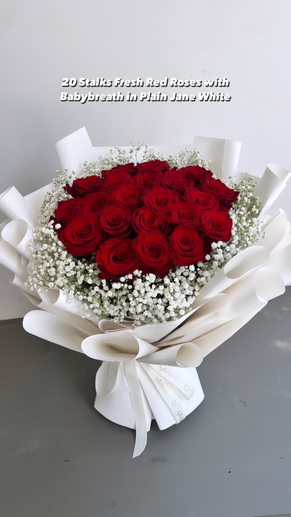 19 Stalks Fresh Red Roses with Babybreath in Plain Jane