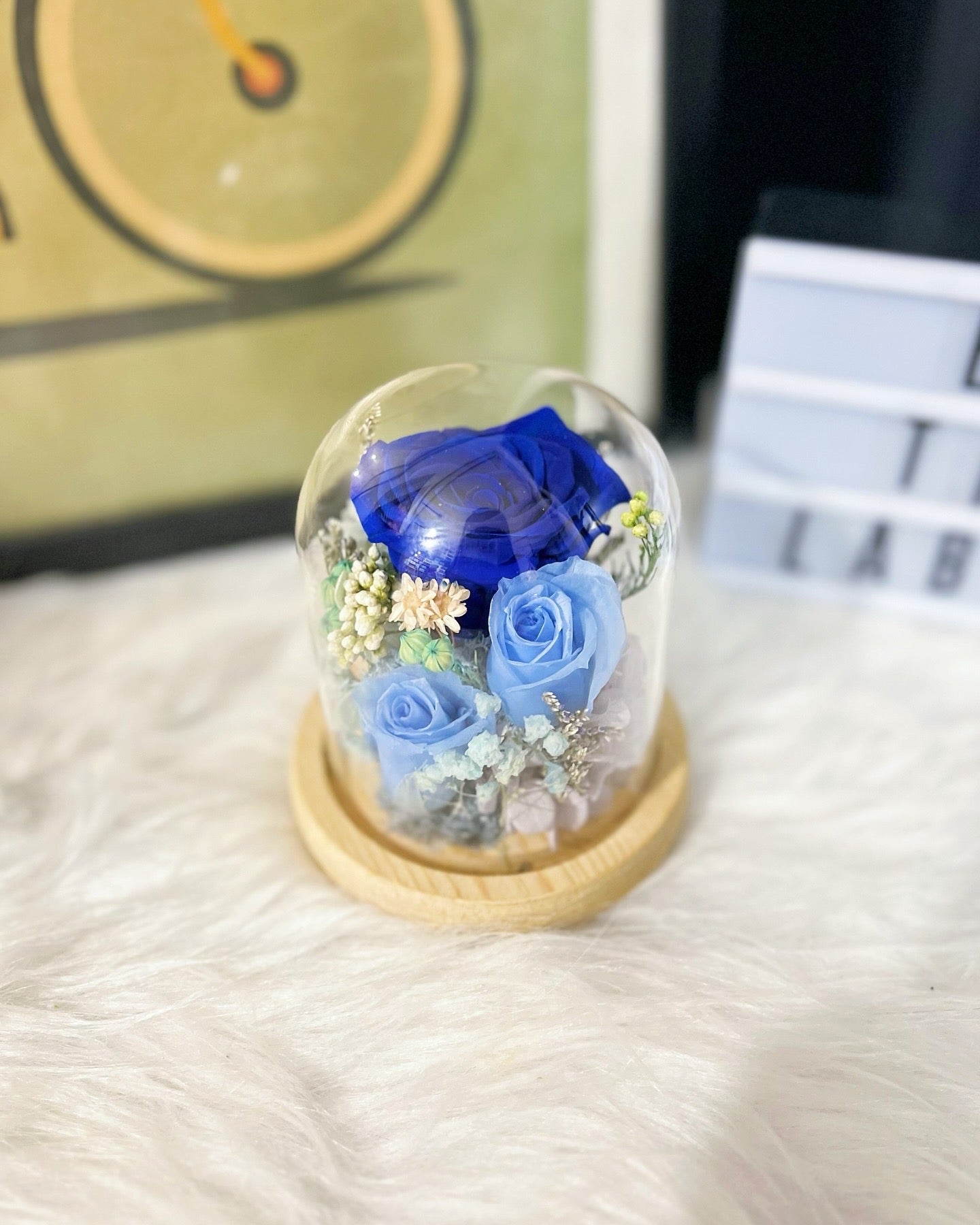 Promo! Preserved Roses Mini Dome!