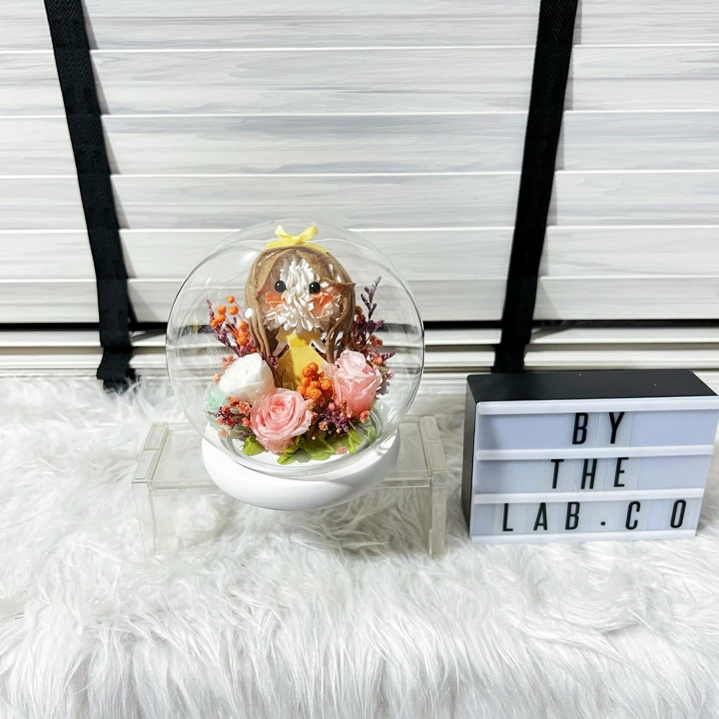 Promo! Character Glass Dome - Belle