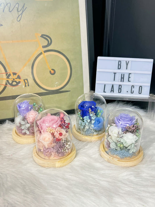 Promo! Preserved Roses Mini Dome!