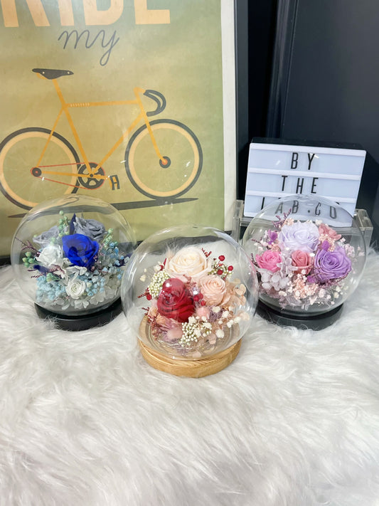 Promo!  Preserved Roses Round Glass Dome!
