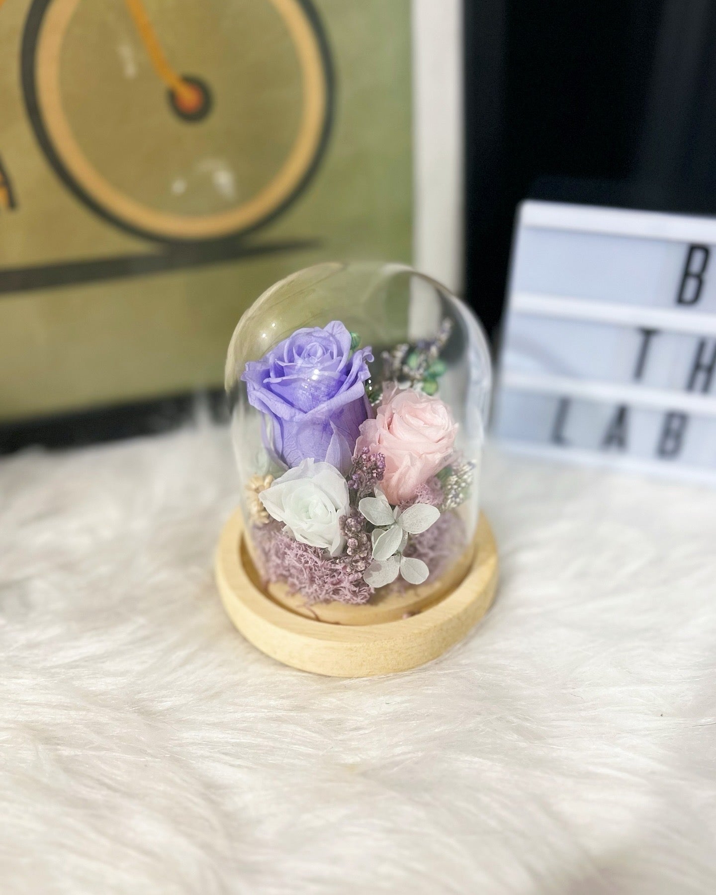 Promo! Preserved Roses Mini Dome!