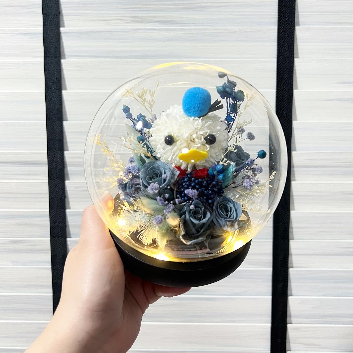 Character Glass Dome - Duck