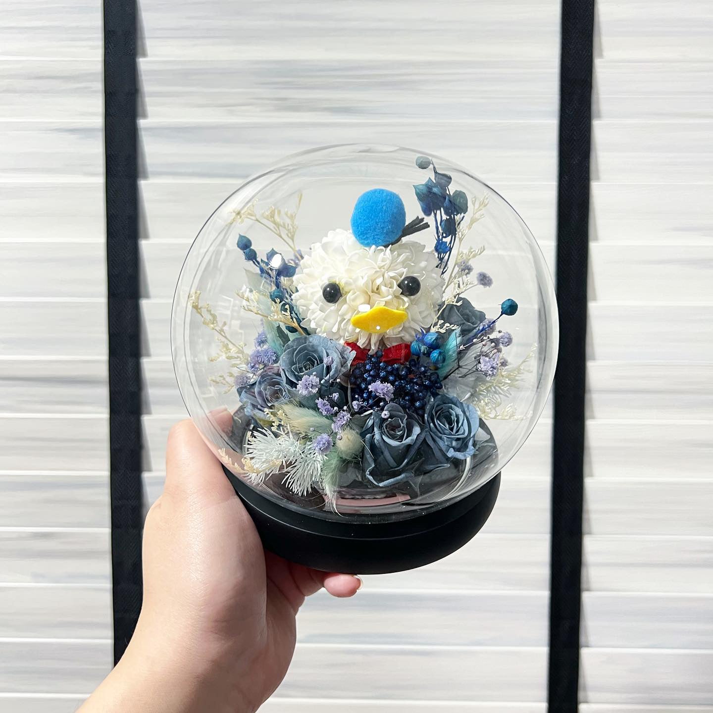Character Glass Dome - Duck