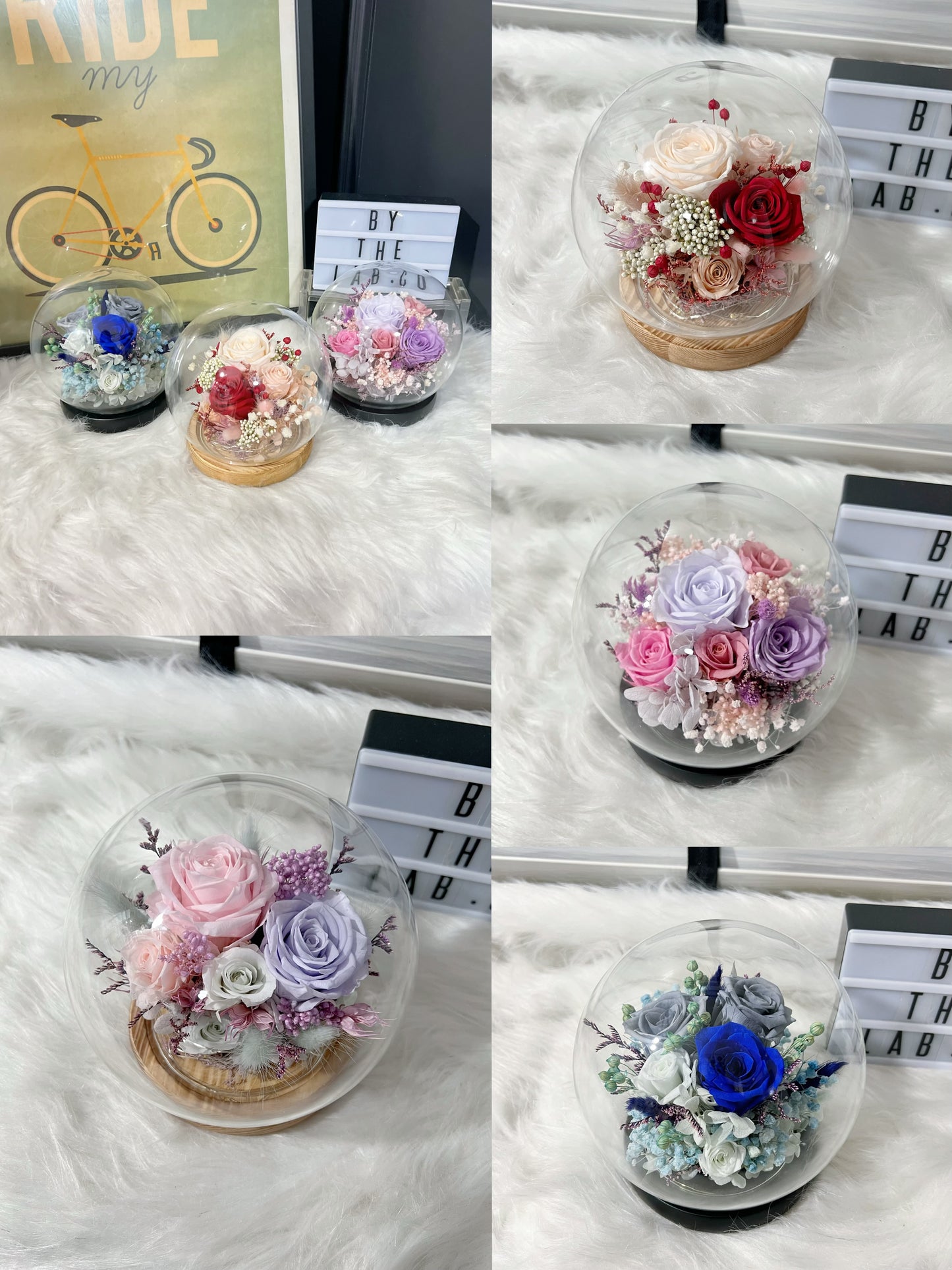 Promo!  Preserved Roses Round Glass Dome!