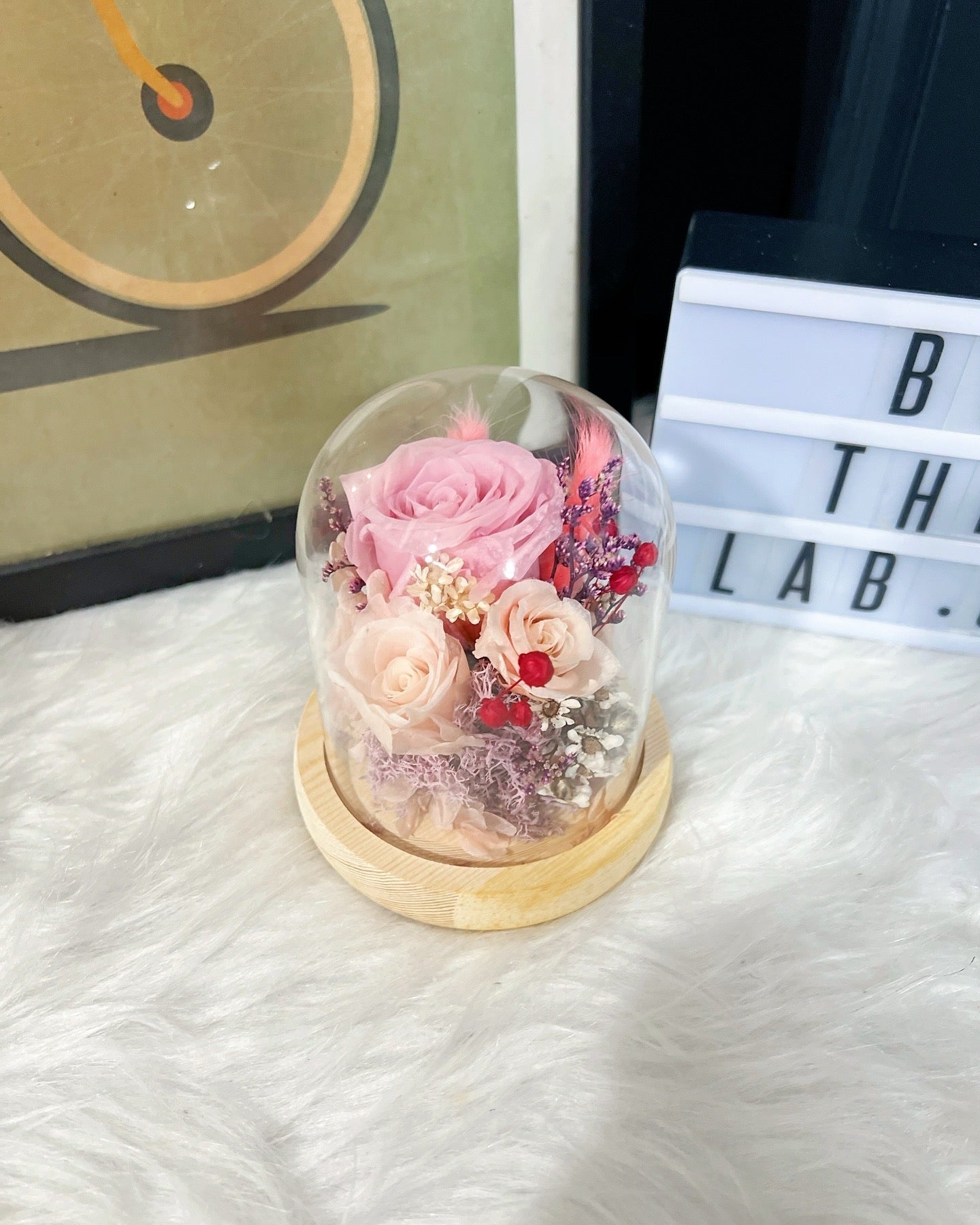 Promo! Preserved Roses Mini Dome!