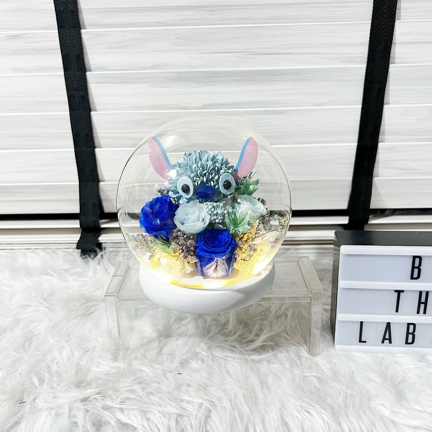 Character Glass Dome - Stitchy!