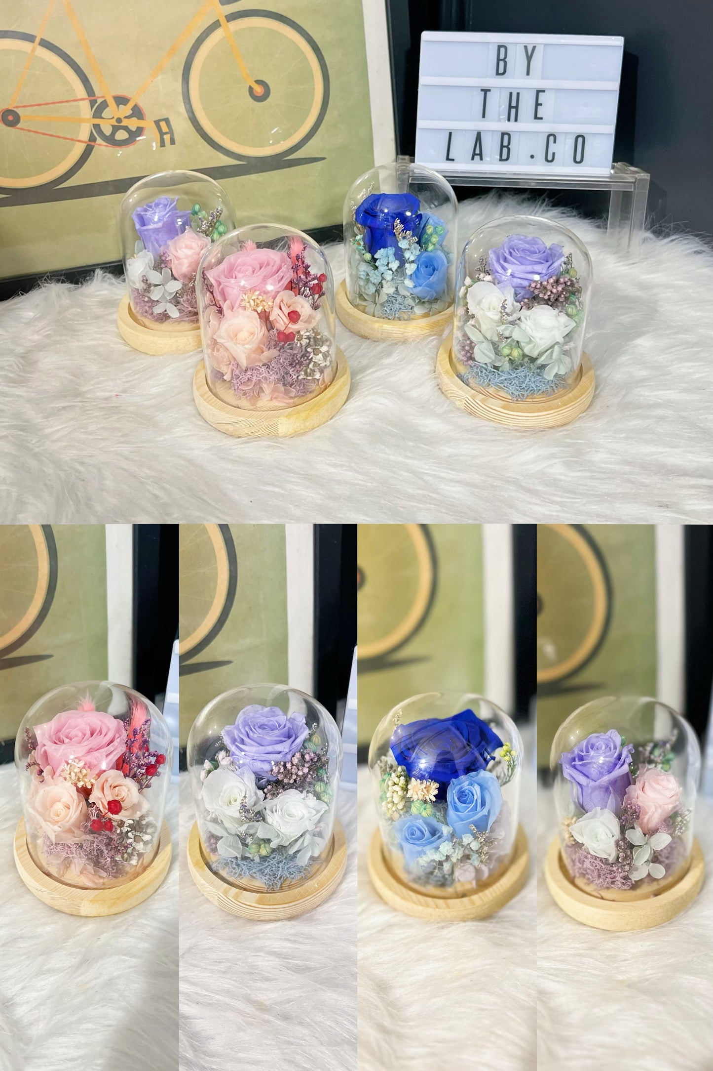 Promo! Preserved Roses Mini Dome!